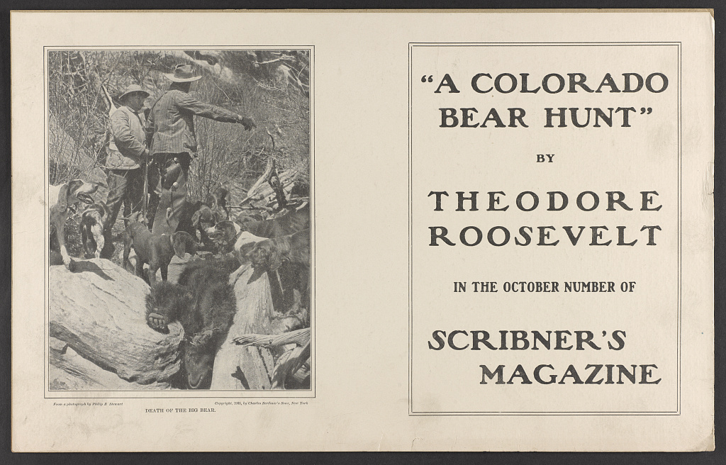 Roosevelt bear hunting in Colorado, Library of Congress