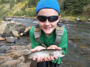 ty trout