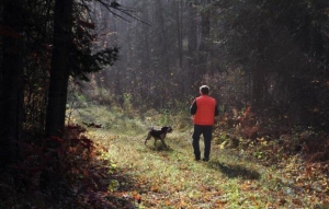walking trail