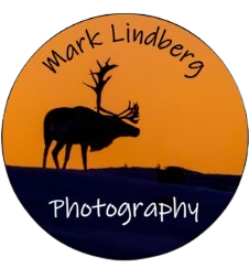 Mark Lindberg Photography Logo