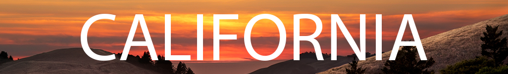 CA Header