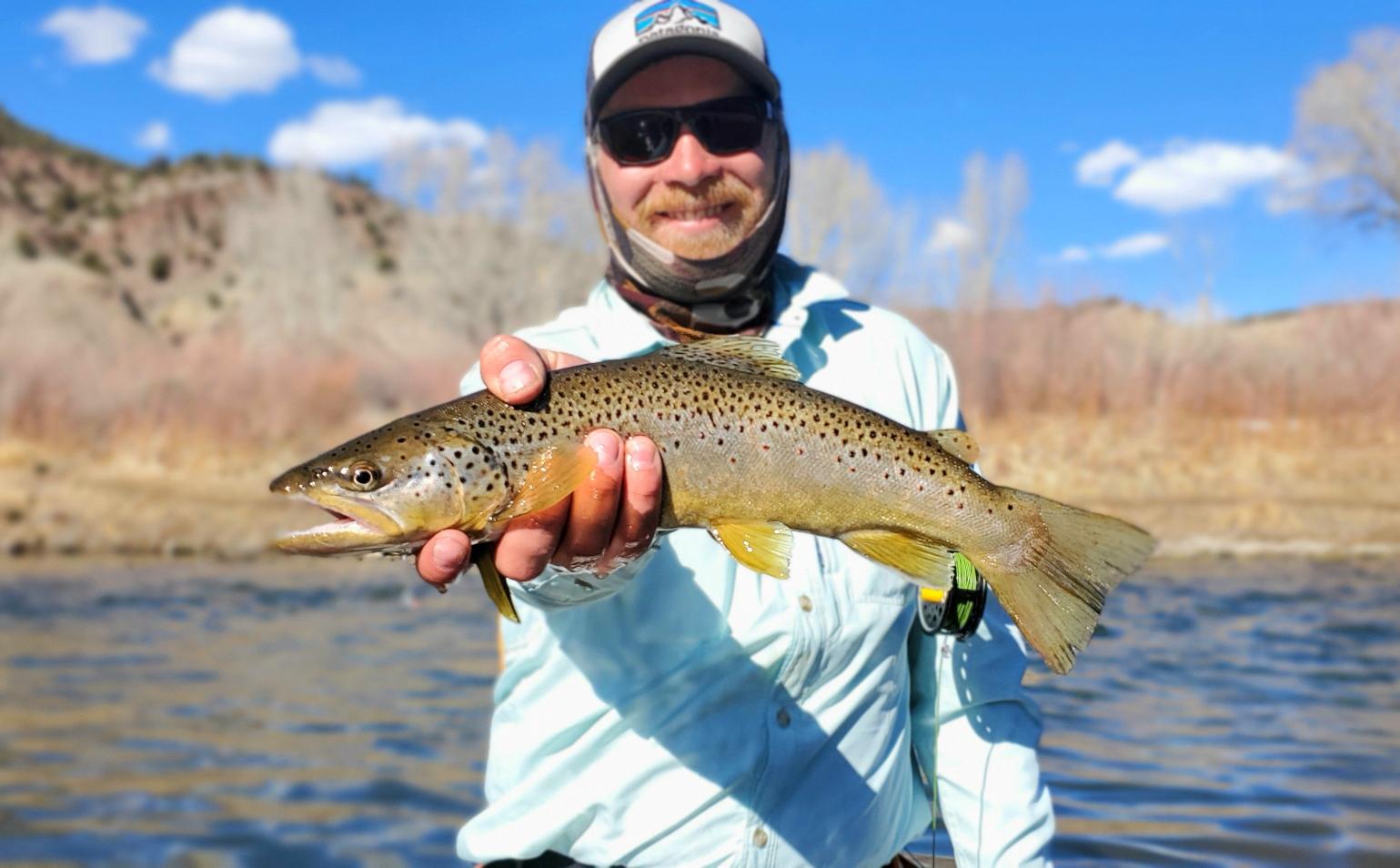 Noel_Worden-Trout.jpeg