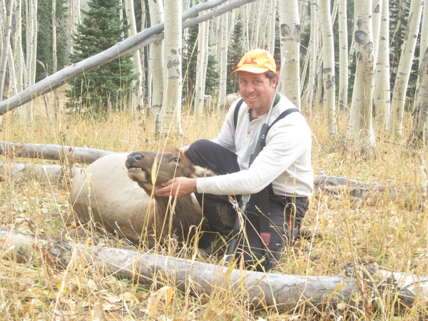 2-Mikkel_Hylden-Cow_Elk-2014.JPG