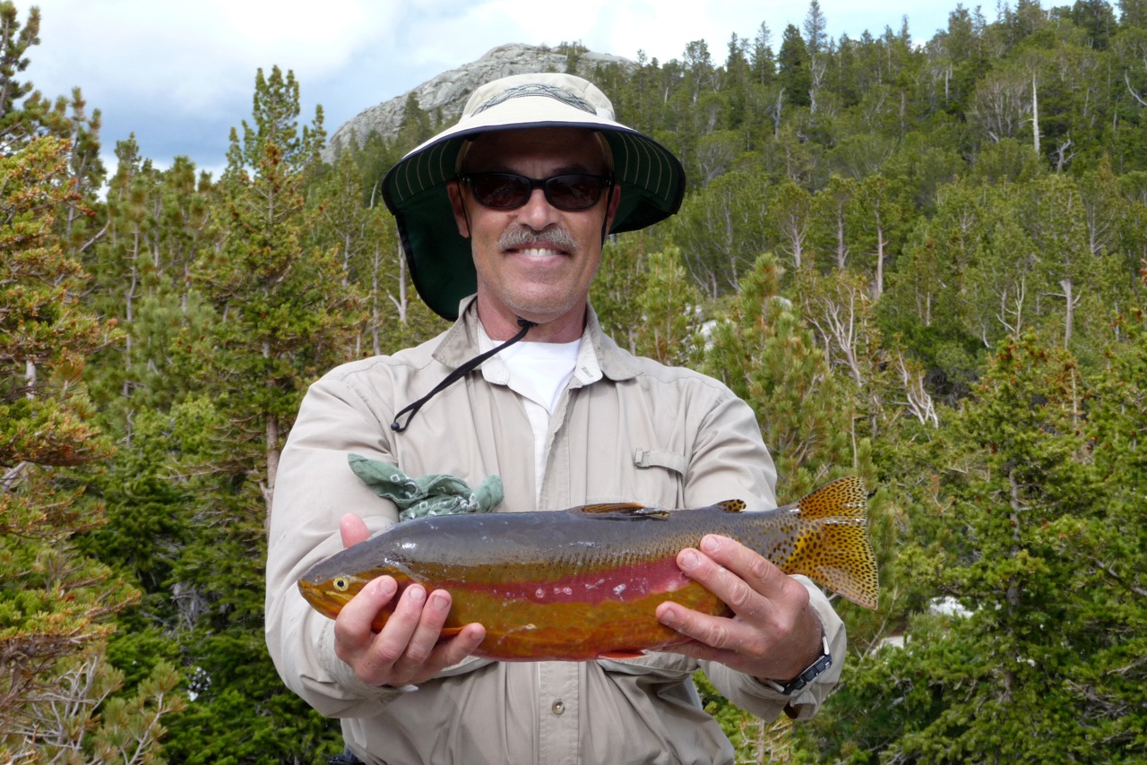 22-Bob_Shettel-4.5_lb._golden.jpeg