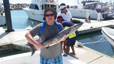 John_Noyes-fish_barracuda.jpg