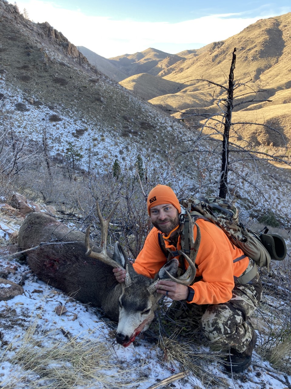 Matt_Roberts-Muley.jpg