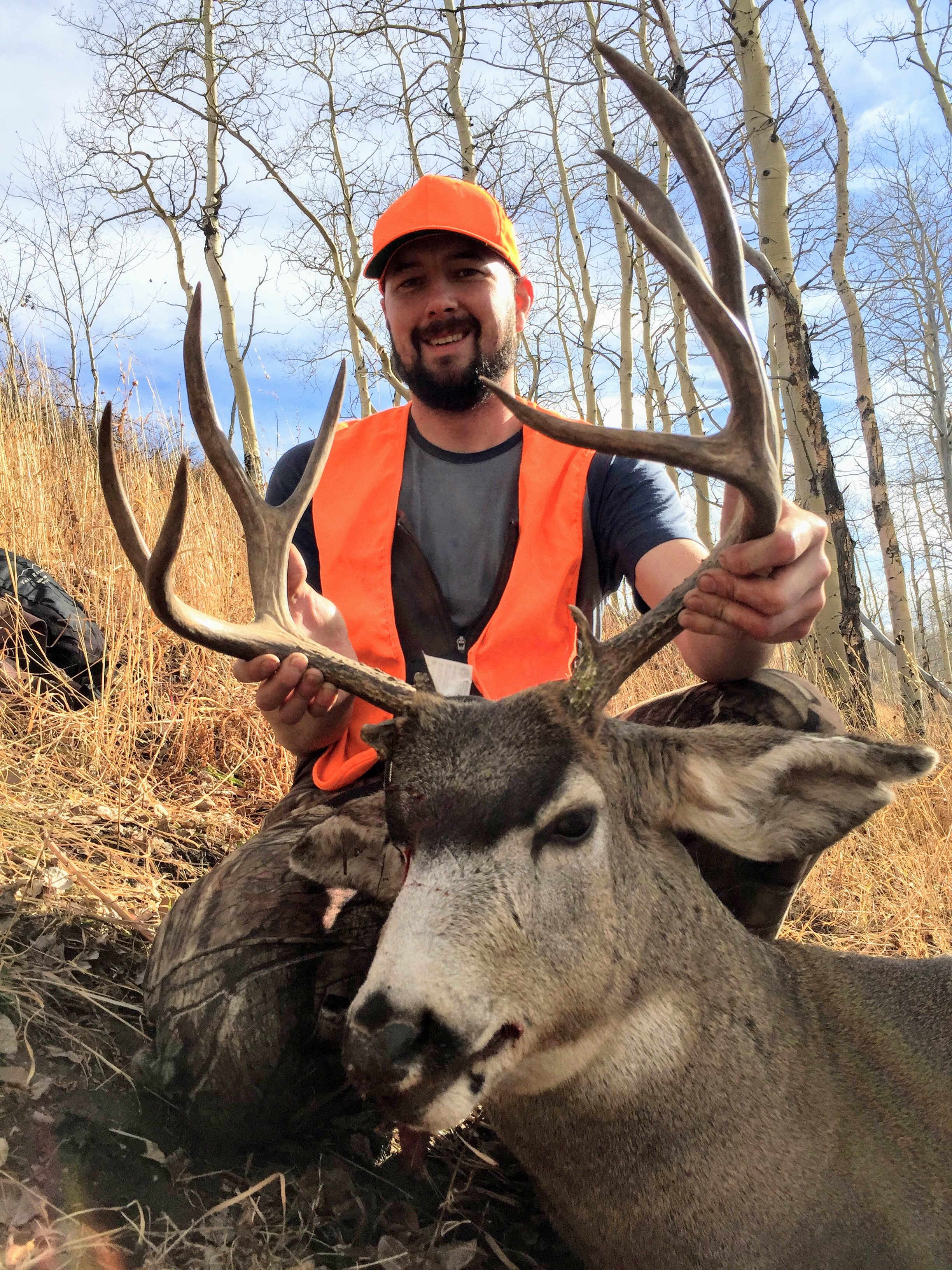 Nick_Arndt-Muley_Buck_2016_(2).jpg
