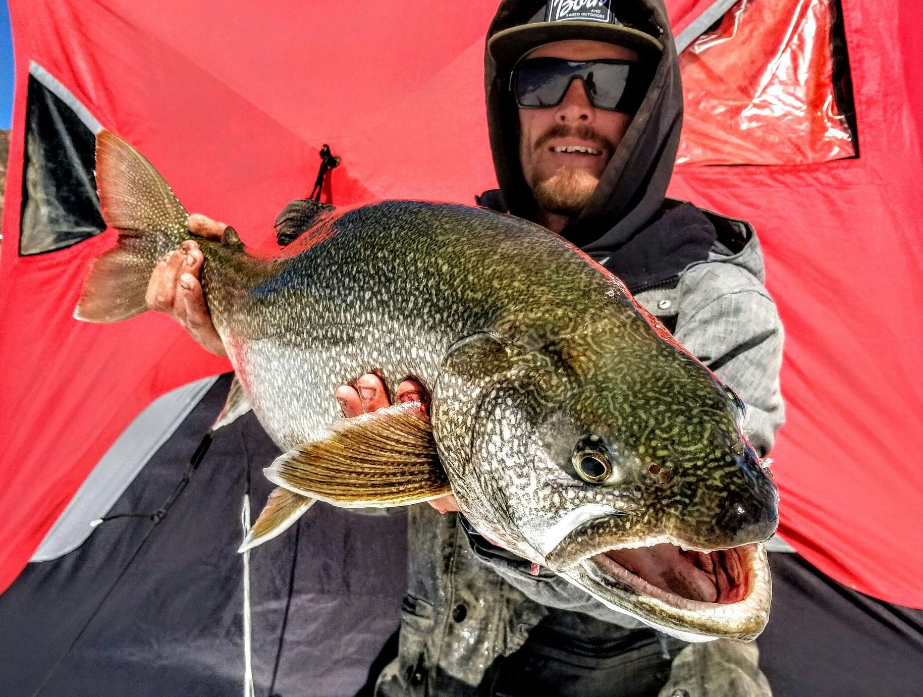 Robert_H-Fish-Trout.jpg