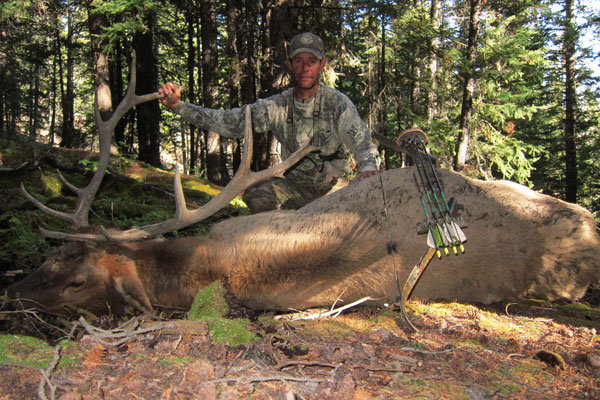 Jeff-elk1.JPG