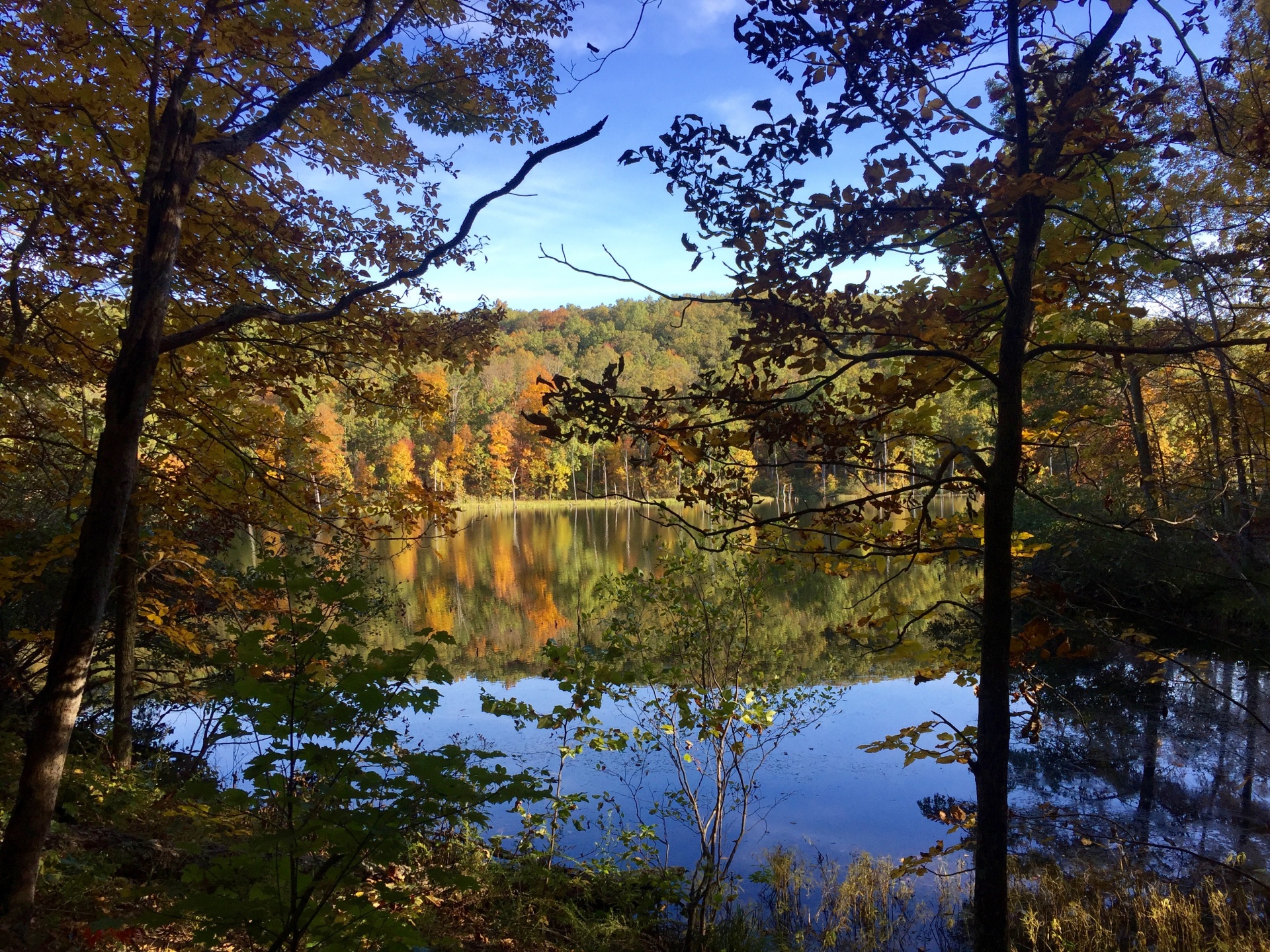 fall-lake-view.jpg