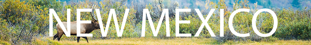 NM Header