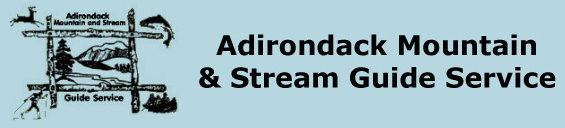 5cc0aa91429df-ADKMTNandStreamLogo.jpg