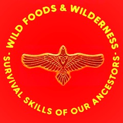 WildFoodandWilderness.jpeg