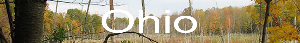 ohion.banner.2.png