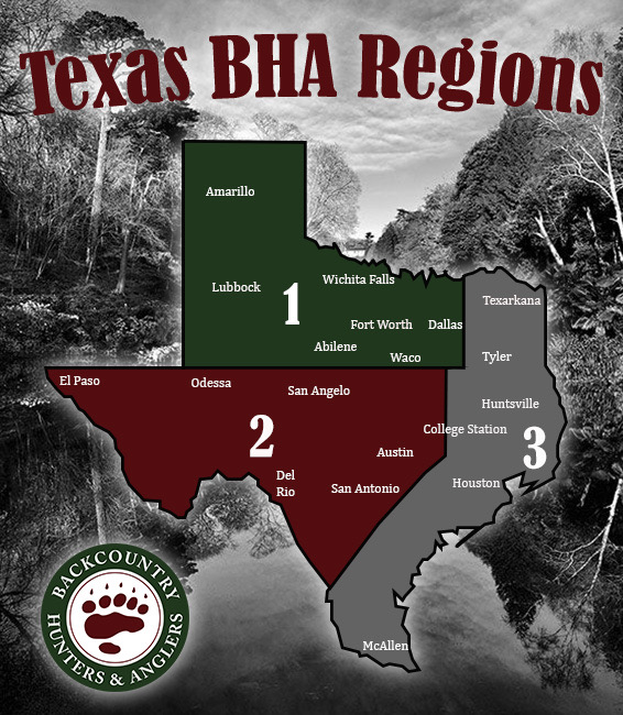 TX_Region_map.JPG