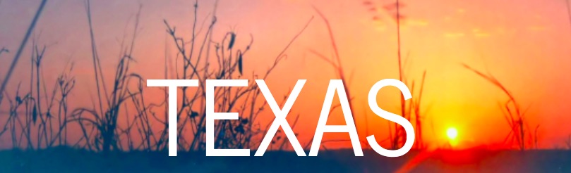 TX_Header.jpg
