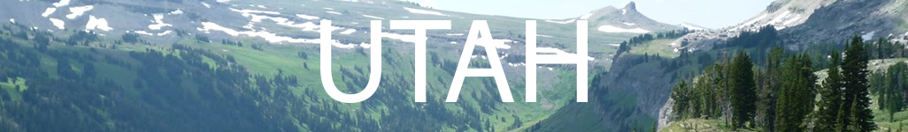 UT Header